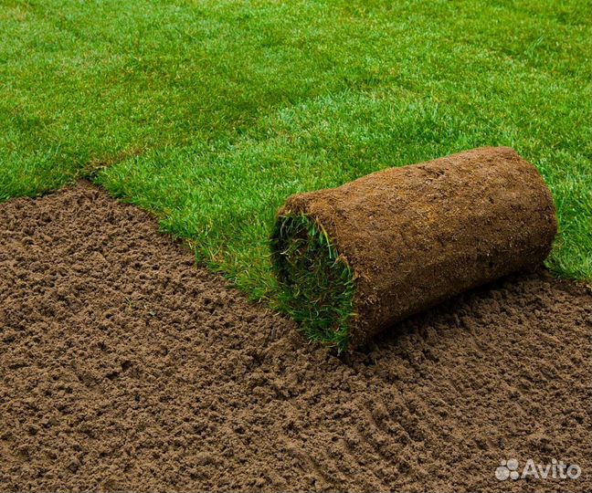 Газон рулонный