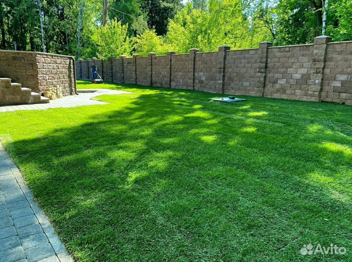 Укладка газона под ключ