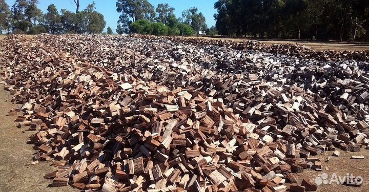 Дрова с Приморска