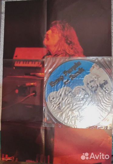 Виниловые пластинки Picture Disc