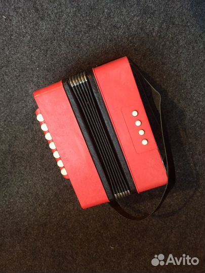 Гармонь детская