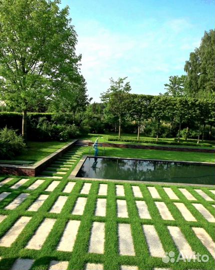 Рулонный газон