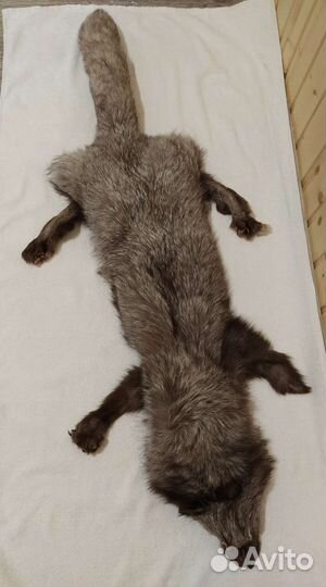 Шкура песца