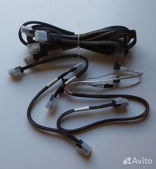 Minisas (svrbd/hsbp) G17760-003 AST 1443