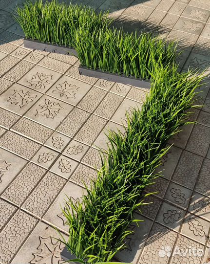Искусственная трава, осока в ящике, блоке, кашпо