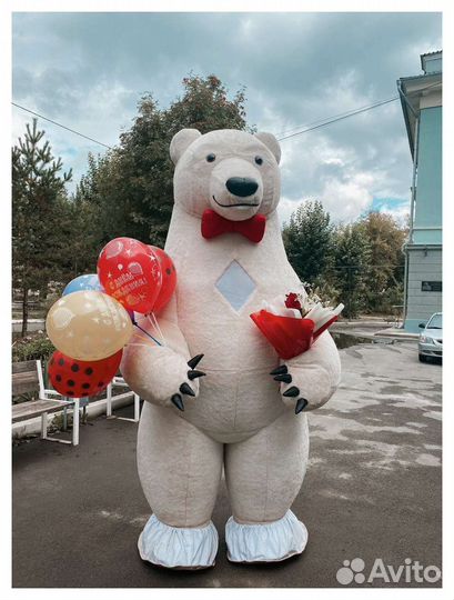 Поздравление Белого Мишки, Пневмо медведь