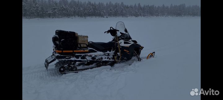 Снегоход BRP Lynx 69 Ranger army LTD 800R E-TEC