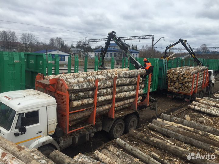 Водитель лесовоза