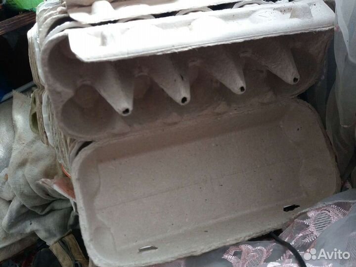 Коробки для яиц