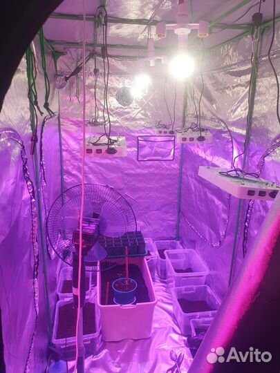 Готовый гроубокс