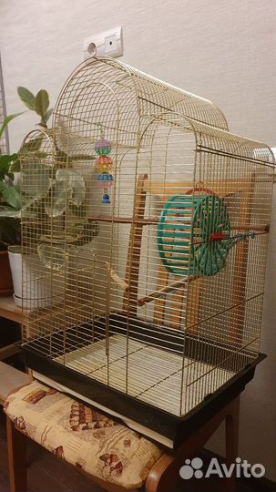 Клетка для попугая бу