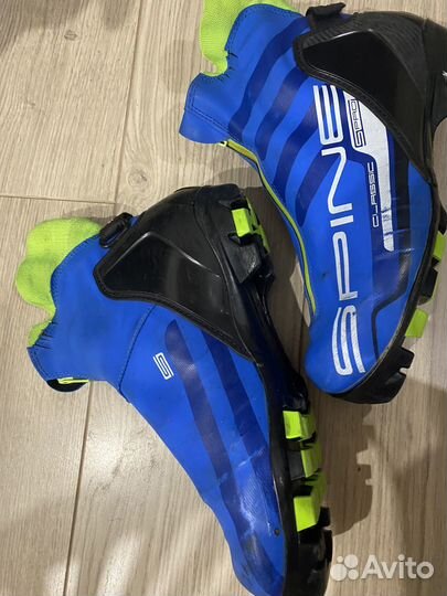 Лыжные ботинки классические spine