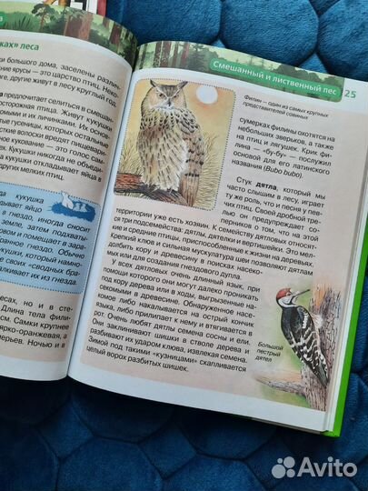 Детская энциклопедия росмэн