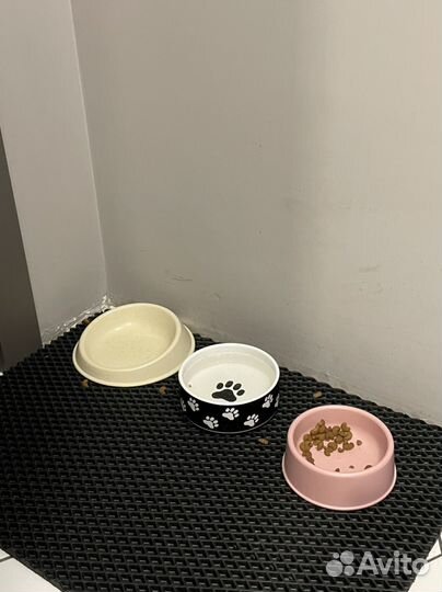 Лежанка, миска, когтеточка, лоток для кошек