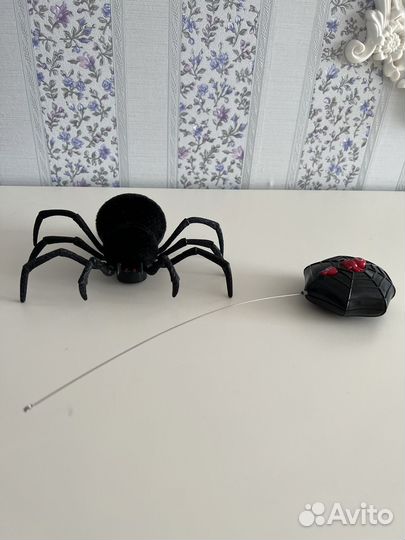 Паук на дистанционном управлении