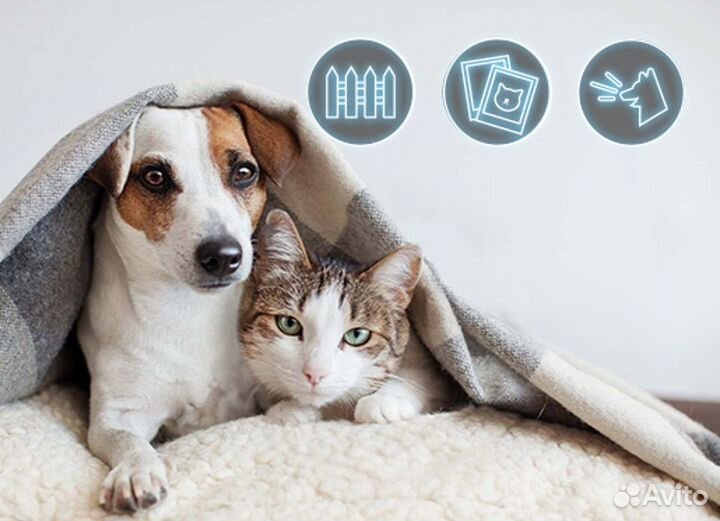 Видеодомофон. Видеонаблюдение. Замок пвз