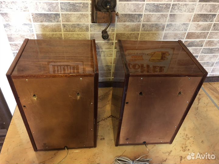 Колонки Вега 10 мас-1 М