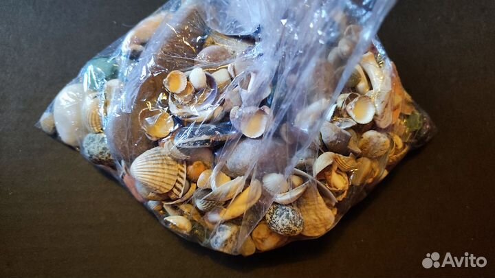 Морские камни