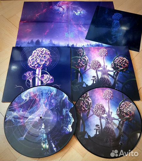 Пластинки рок,хард-рок,метал,пoп