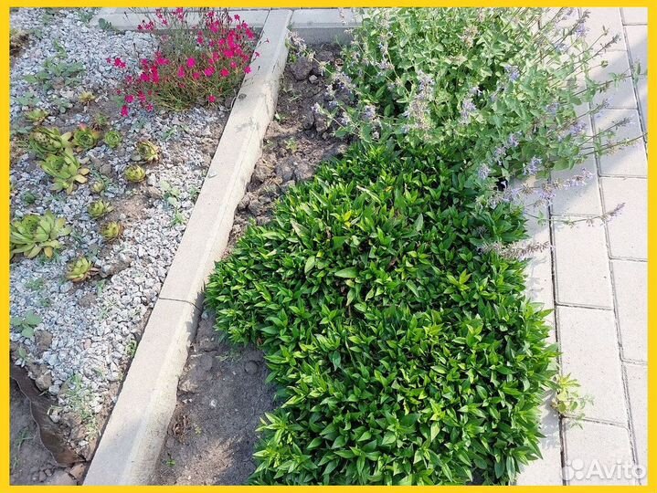 Бордюр тротуарный садовый