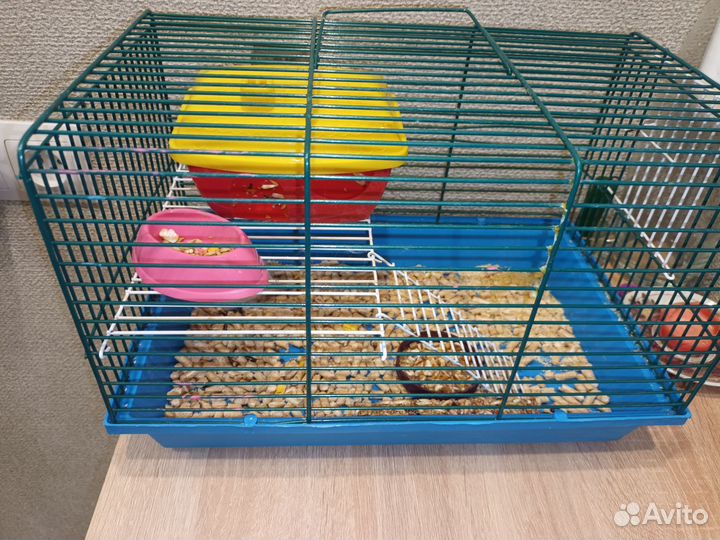 Джунгарский хомяк с клеткой