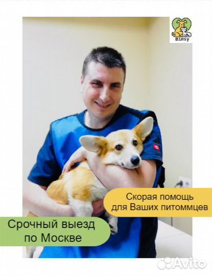 Ветеринарный врач на дом. Ветеринарная помощь