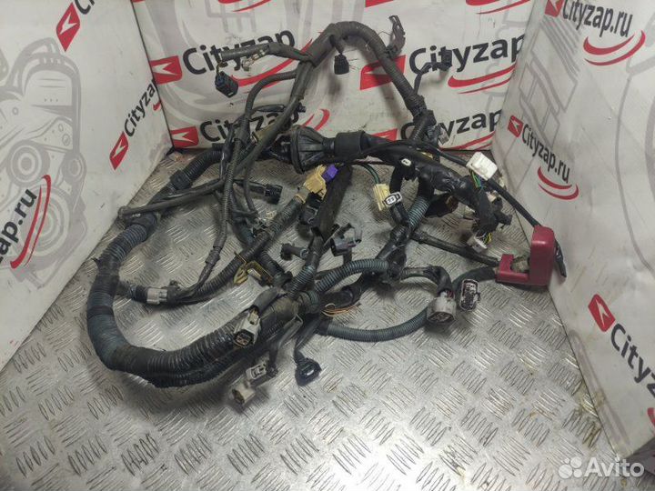 Проводка двс Toyota Wish ZNE10G 1ZZ-FE