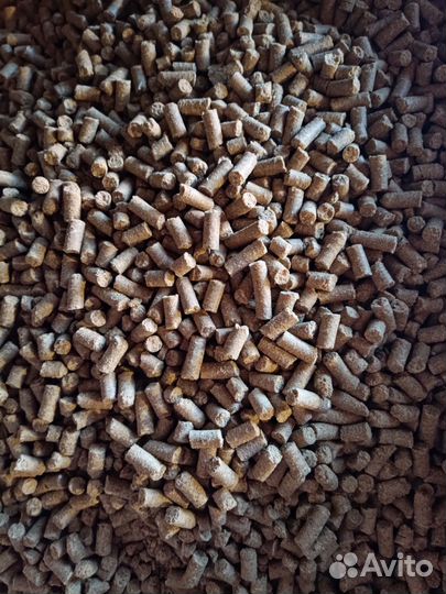 Сухой корм для собак всех пород