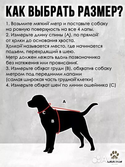 Костюм для собак