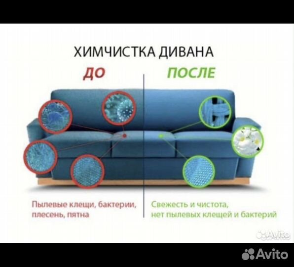 Аренда моющего пылесоса/пароочистителя Karcher