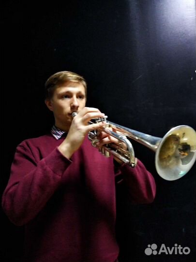 Уроки музыки. Уроки игры на духовом инструменте