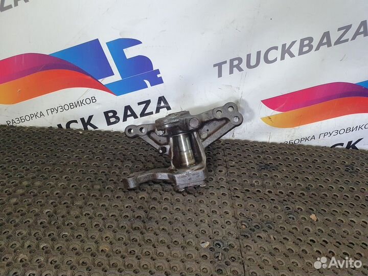 Кулак поворотный левый