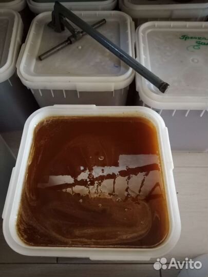Мед Гречишный оптом