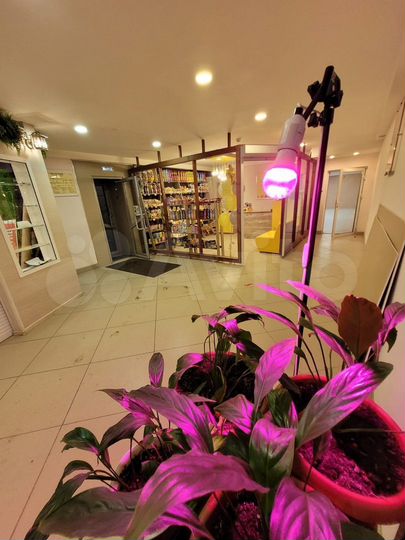 Торговая площадь, 207 м²