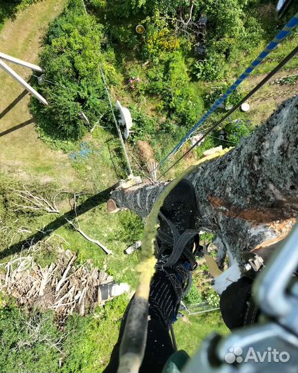 Спил деревьев, кронирование,расчистка участка