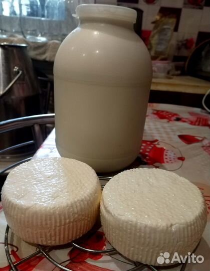 Молоко, молочные продукты