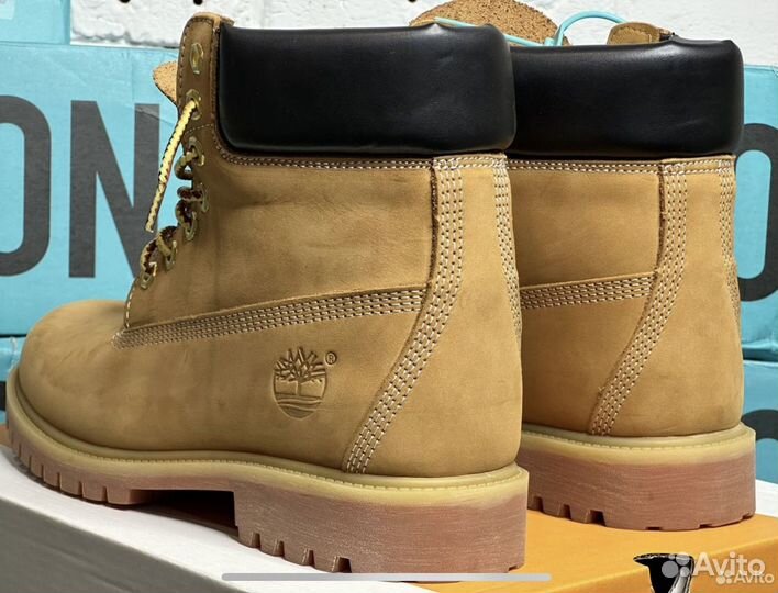 Timberland 6 inch premium