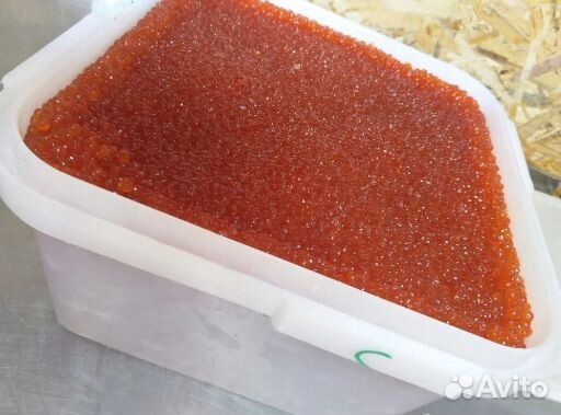 Свежий улов икры нерки