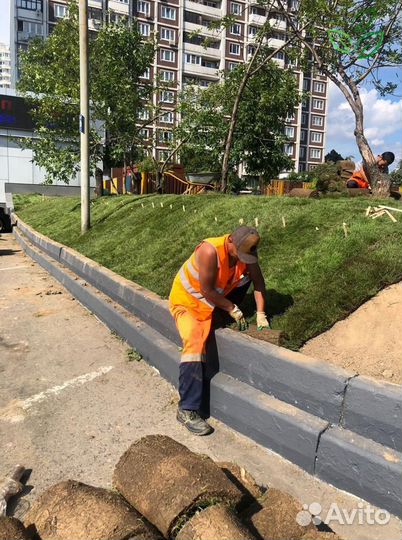 Рулонный газон под ключ