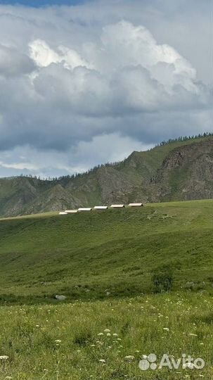 Лучший отпуск - в Горном Алтае. Тур на 5 дней