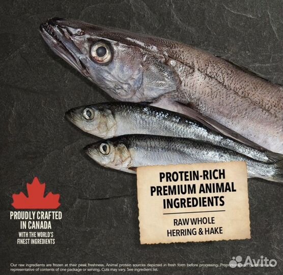 Корм для собак acana с рыбой для всех пород