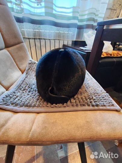 Мужская зимняя кепка