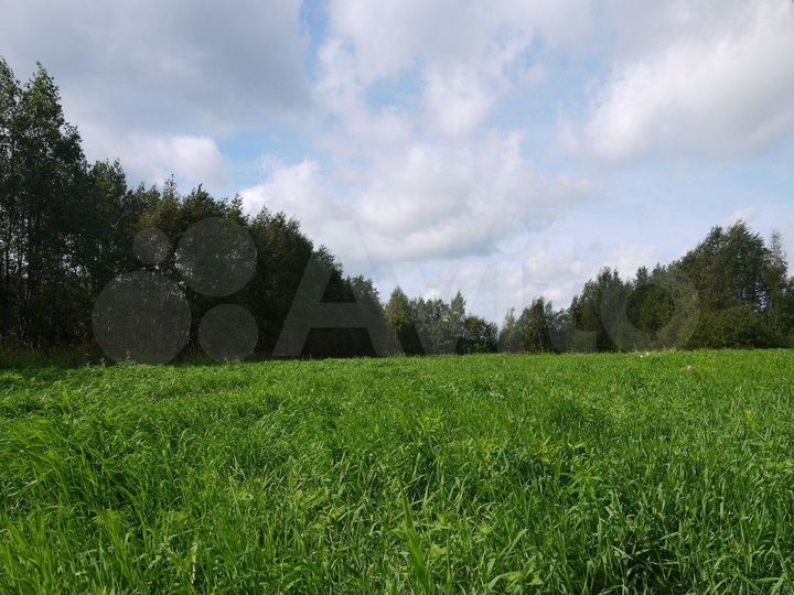 Участок 3,7 га (СНТ, ДНП)