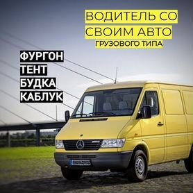 Водитель с личной газелью