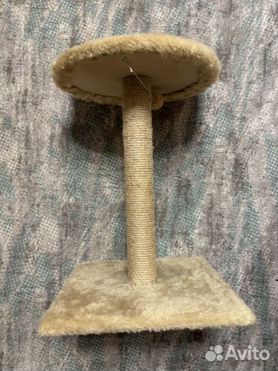 Когтеточка