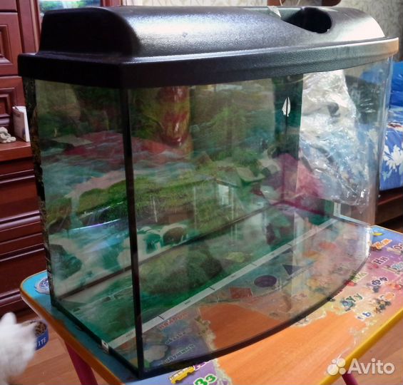 Аквариум