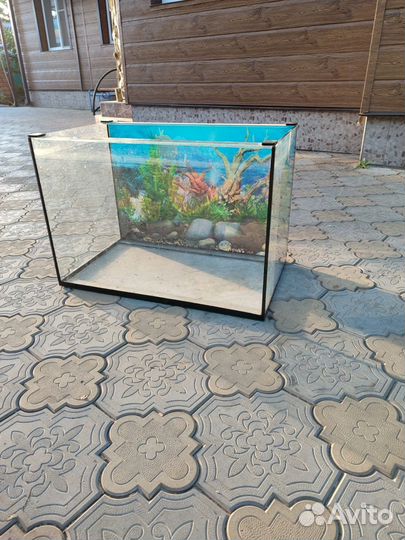 Аквариум