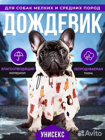 Одежда для собак Дождевик