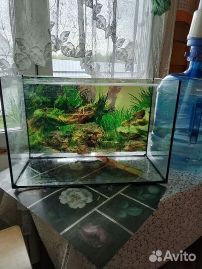 Аквариум