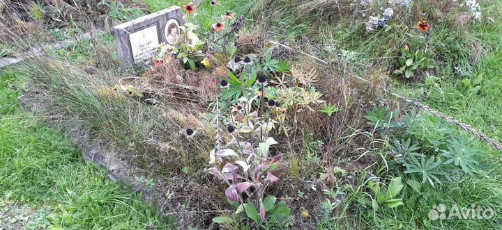 Облагораживание, уход за могилами, поиск старых уч